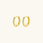 Elegant Huggie Gold Earrings