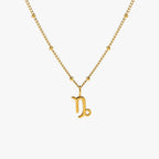 Zodiac Harmony Charm Necklace