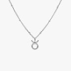 Zodiac Harmony Charm Necklace